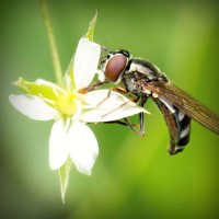 /album/umaformadeamar/photolia-a02-jpg/