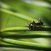 /album/umaformadeamar/photolia-a05-jpg/