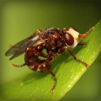 /album/umaformadeamar/photolia-a06-jpg/
