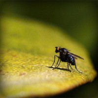 /album/umaformadeamar/photolia-a07-jpg/