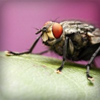 /album/umaformadeamar/photolia-a08-jpg/